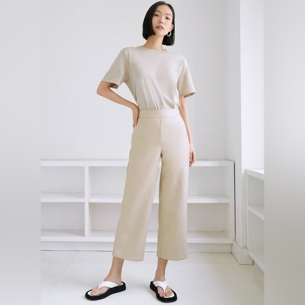 Aritzia Babaton Cynthia Culotte Cropped Relaxed Spring Travel Vacation Pant Sz12